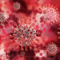 Corona-Virus Grafik.jpg