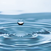 Wasser.jpg